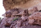 photo thumbnail #10