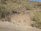 photo thumbnail #2