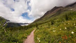 photo thumbnail #3