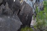 photo thumbnail #6