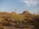 photo thumbnail #1
