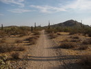 photo thumbnail #3