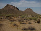 photo thumbnail #4