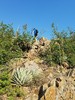 photo thumbnail #5