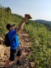 photo thumbnail #8