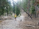 photo thumbnail #1