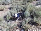 photo thumbnail #5