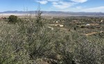photo thumbnail #5