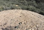 photo thumbnail #13