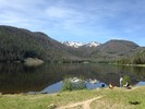 photo thumbnail #2