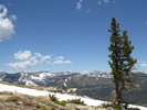 photo thumbnail #9