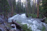 photo thumbnail #12