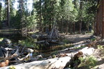 photo thumbnail #10