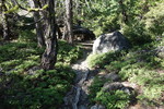 photo thumbnail #13