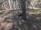 photo thumbnail #7