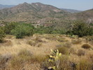 photo thumbnail #6