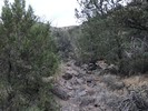 photo thumbnail #13
