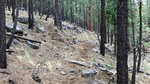 photo thumbnail #6