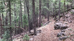 photo thumbnail #7