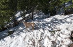 photo thumbnail #7