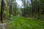 photo thumbnail #4