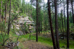 photo thumbnail #7