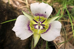 photo thumbnail #9
