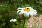 photo thumbnail #15