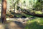 photo thumbnail #9