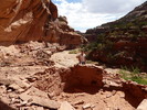 photo thumbnail #11