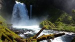 photo thumbnail #2