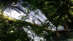 photo thumbnail #15