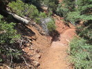 photo thumbnail #1