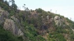 photo thumbnail #3