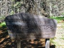 photo thumbnail #3