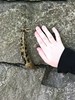 photo thumbnail #7