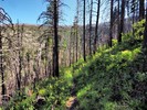 photo thumbnail #7