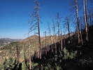 photo thumbnail #8