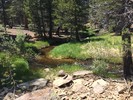 photo thumbnail #11