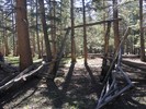 photo thumbnail #13