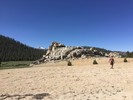 photo thumbnail #15
