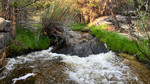 photo thumbnail #9