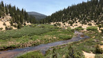 photo thumbnail #14