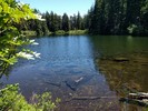 photo thumbnail #5