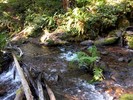 photo thumbnail #15