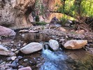 photo thumbnail #1
