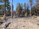 photo thumbnail #7