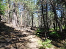photo thumbnail #11