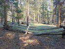 photo thumbnail #4