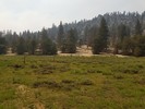 photo thumbnail #15